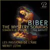 Stream & download Mystery (Rosary) Sonatas, Sonata No. 3 in B Minor "The Nativity" - EP