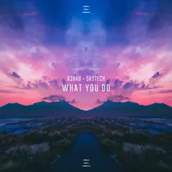 What You Do - Single by R3HAB & Skytech album reviews, ratings, credits