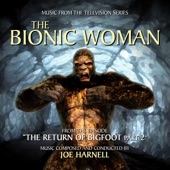 The Bionic Woman Main Title artwork