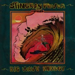 Stingray Fever - Big Wave Energy