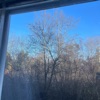 Tu Sei Mia Vita - Single
