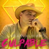 Culpable - Single