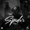 Spider album lyrics, reviews, download