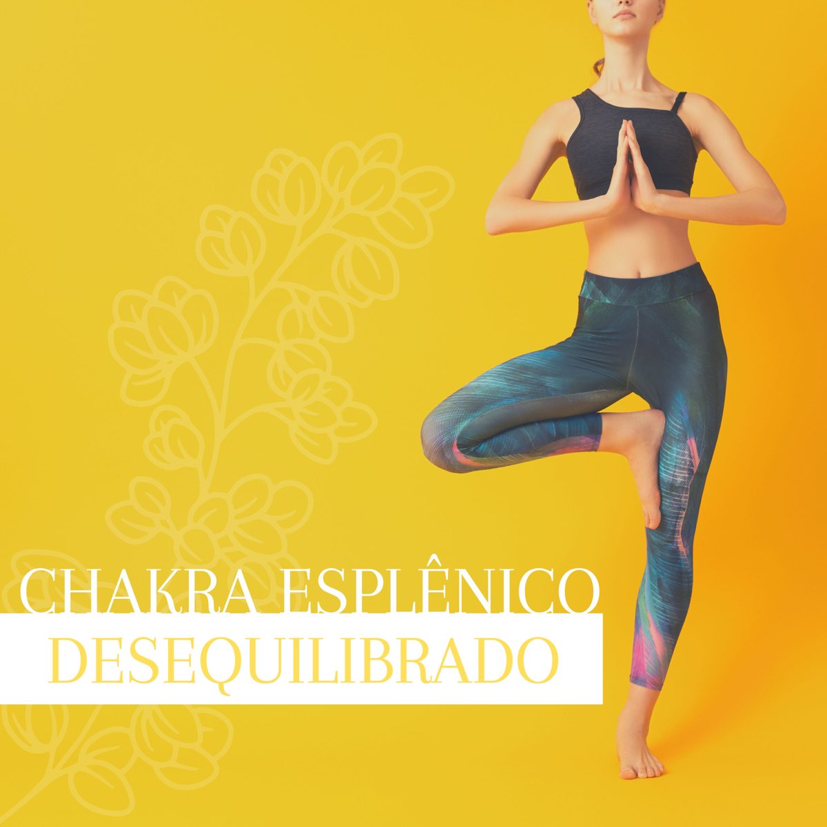 Chakra Esplênico Desequilibrado Música com Mantra Removedor de