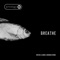 Breathe (Mefjus & Camo & Krooked Remix) artwork