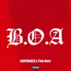 B.O.A - Single album lyrics, reviews, download