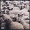 21217 To 46229 (feat. Jaywzrd) - CASSO BLVCK lyrics