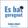 Es hat geregnet (Leben eben!) - Single
