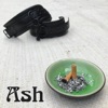 Ash - Single