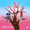 cherry blossom - Single album lyrics, reviews, download