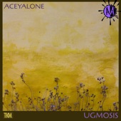 Aceyalone - Ice Water to Wine