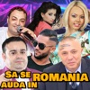 Nicolae Guta - Ma Uit La Pozele De Mult