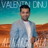 Alinarea Mea - Single