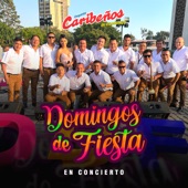Domingos de Fiesta en Concierto (En Vivo) artwork