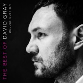 David Gray - January Rain