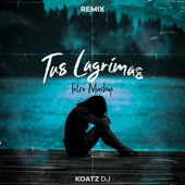 Tus Lágrimas (Intro Mashup) [Remix] artwork