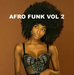 Afro Funk, Vol. 2 by Various Artists album reviews, ratings, credits
