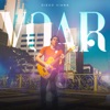 Voar - Single