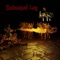 Space Cruster - Galvanized Leg lyrics