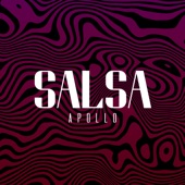 Salsa (Radio Edit) artwork
