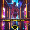 I Can't Forgive It - Single