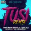 Tusi (Remix) - Single album lyrics, reviews, download