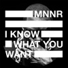 I Know What You Want - Single
