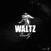 Stream & download Waltz - Single