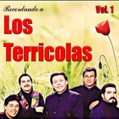 Los Terrícolas - Cuando Mi Amor No Sea El De Ayer