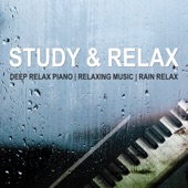 Study and Relax artwork