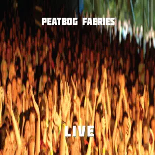 télécharger l'album Peatbog Faeries - Live