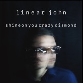Shine on You Crazy Diamond artwork