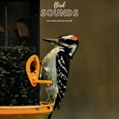 Natural Sample Makers, Natural Sound Makers, Nature Recordings - Bird Ways