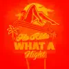 What A Night (Remixes) - EP album lyrics, reviews, download