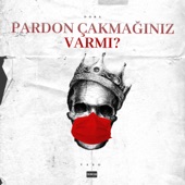 Pardon Çakmağınız Var mı artwork