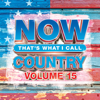 Various Artists - NOW That's What I Call Country, Vol. 15  artwork