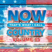 NOW That's What I Call Country, Vol. 15 - Various Artists
