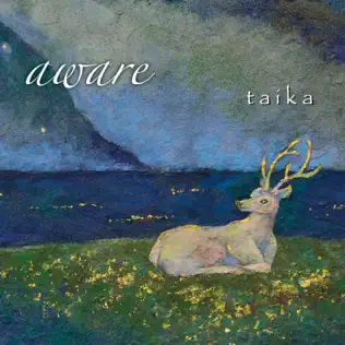 Album herunterladen Taika - Aware