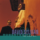David Sylvian - Darshan (The Road to Graceland)