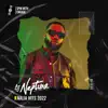 Naija Hits 2022 (DJ Mix) album lyrics, reviews, download