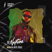 Naija Hits 2022 (DJ Mix) artwork
