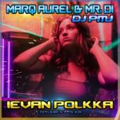 Ievan Polkka (Italo Dance Mix) artwork