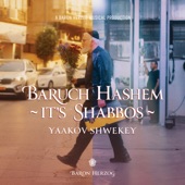 Baruch Hashem It's Shabbos artwork