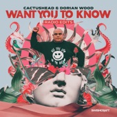 Want You to Know (Radio Edits) - EP artwork
