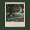 Home - Single