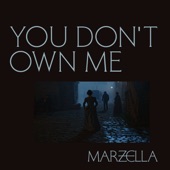 You Don't Own Me artwork