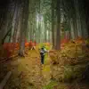 Stream & download Relaxing Sound of Walk in Forest to Relieve Anxiety and Relax