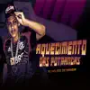 Stream & download Aquecimento das Potrancas (Remix) - Single