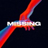 Missing - Single