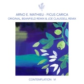 Ficus Carica (Beanfield Remix) artwork